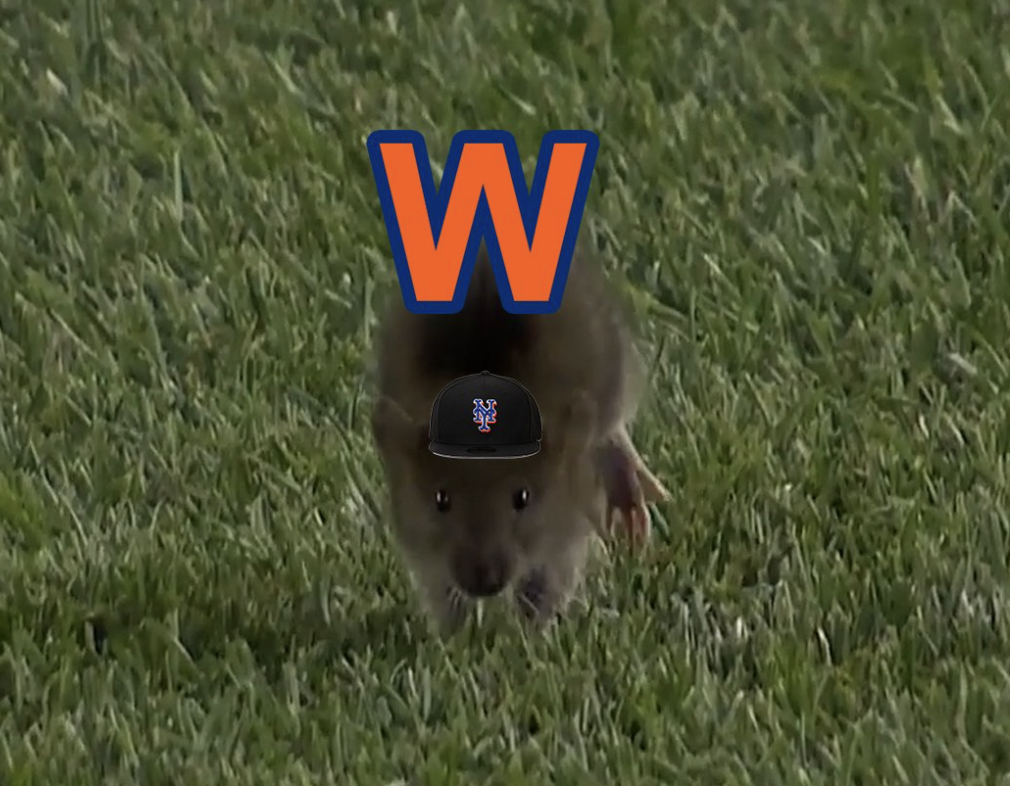 A tiny rat running in the grass on Citi Field that someone has photoshopped to be wearing a Mets hat .