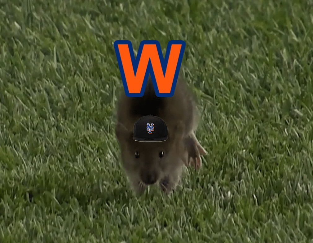 A tiny rat running in the grass on Citi Field that someone has photoshopped to be wearing a Mets hat .