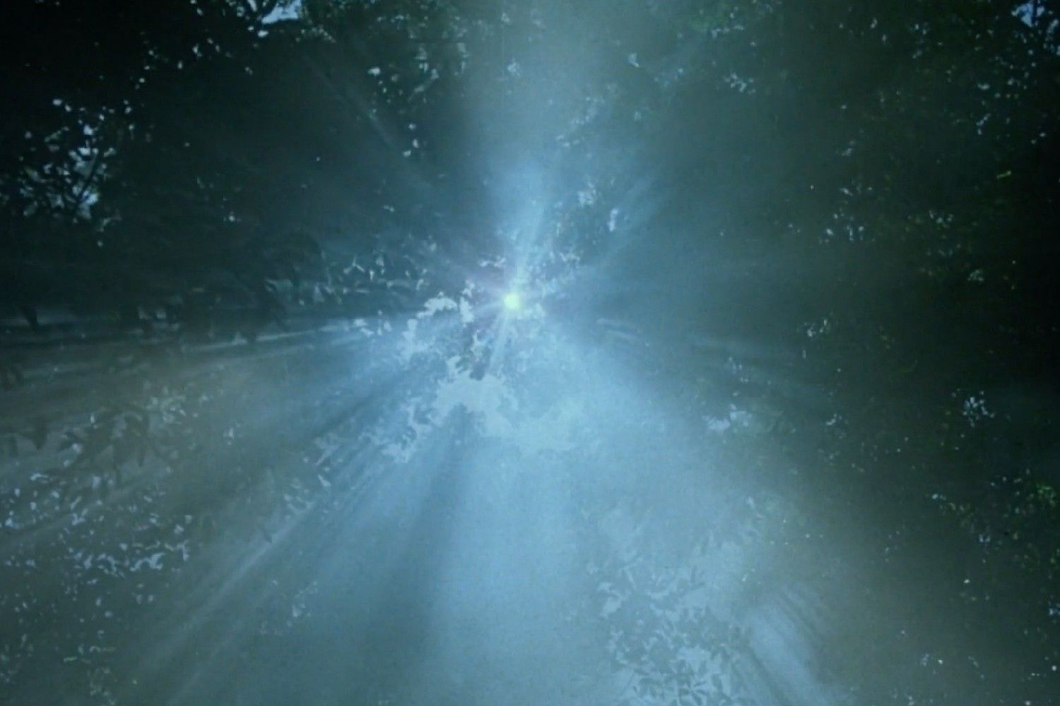 An image from "Earth II" looking up towards tree tops with the sun shining through.