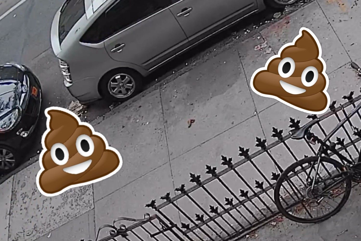 A surveillance still of dog poop with two large and happy poop emojis superimposed over it.