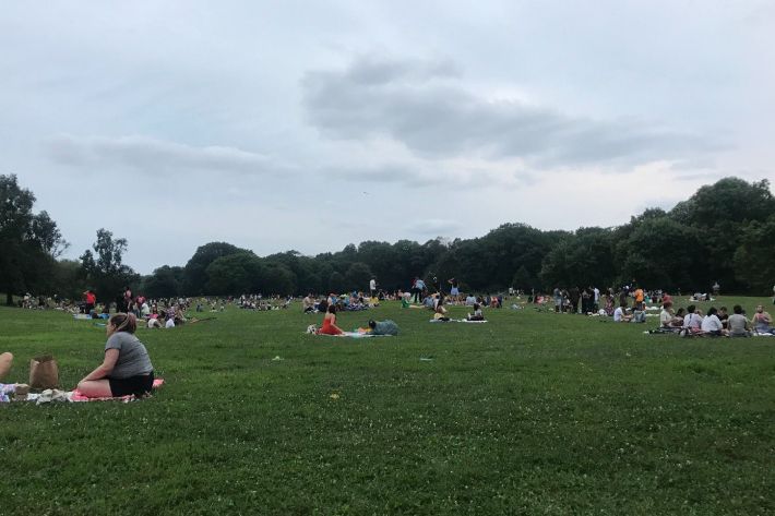 A view of a crowd of people sitting in a large grassy area of Prospect Park.