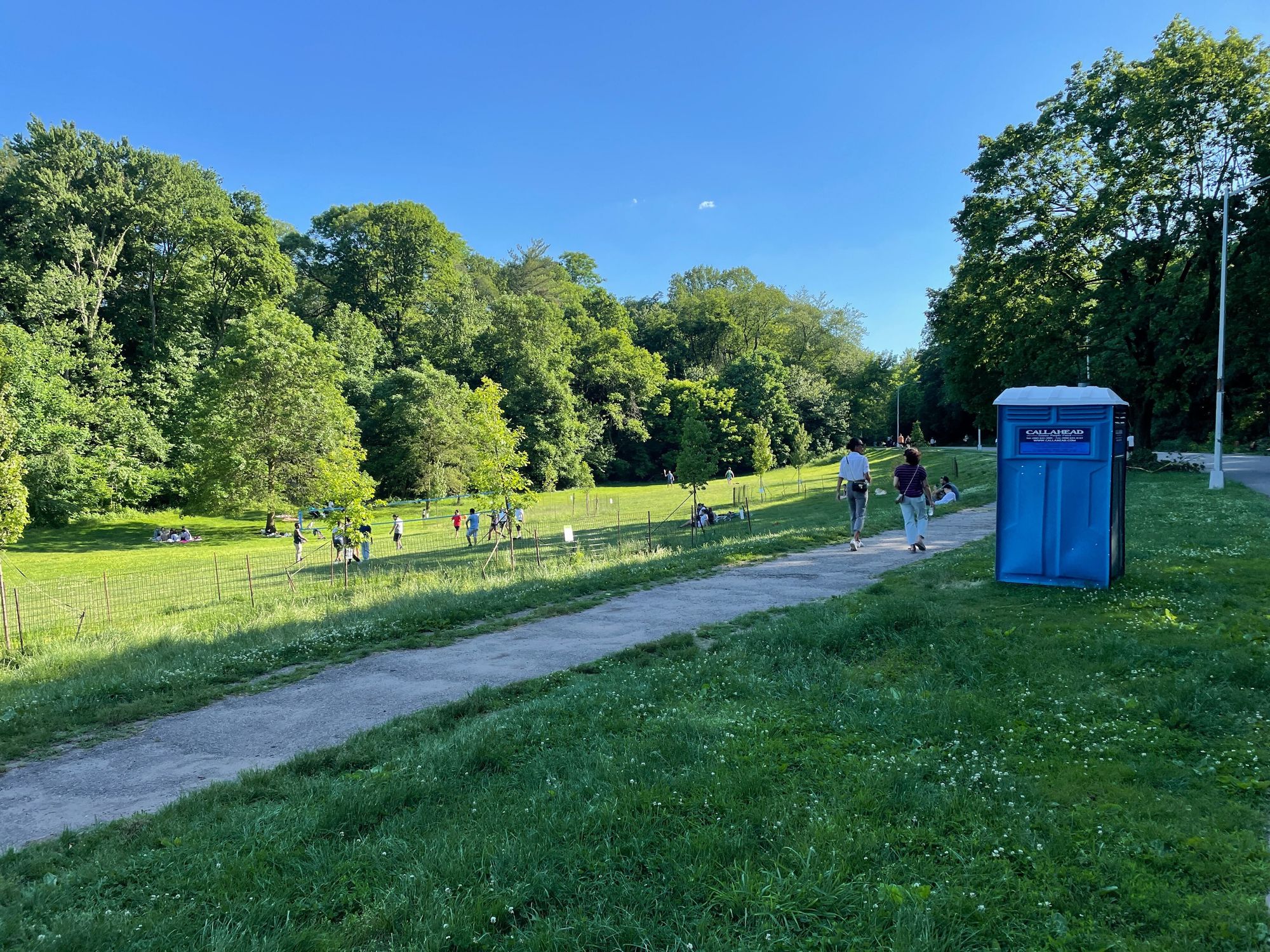 A port-a-pottie sits in Prospect Park's Nethermead while people frolic nearby.