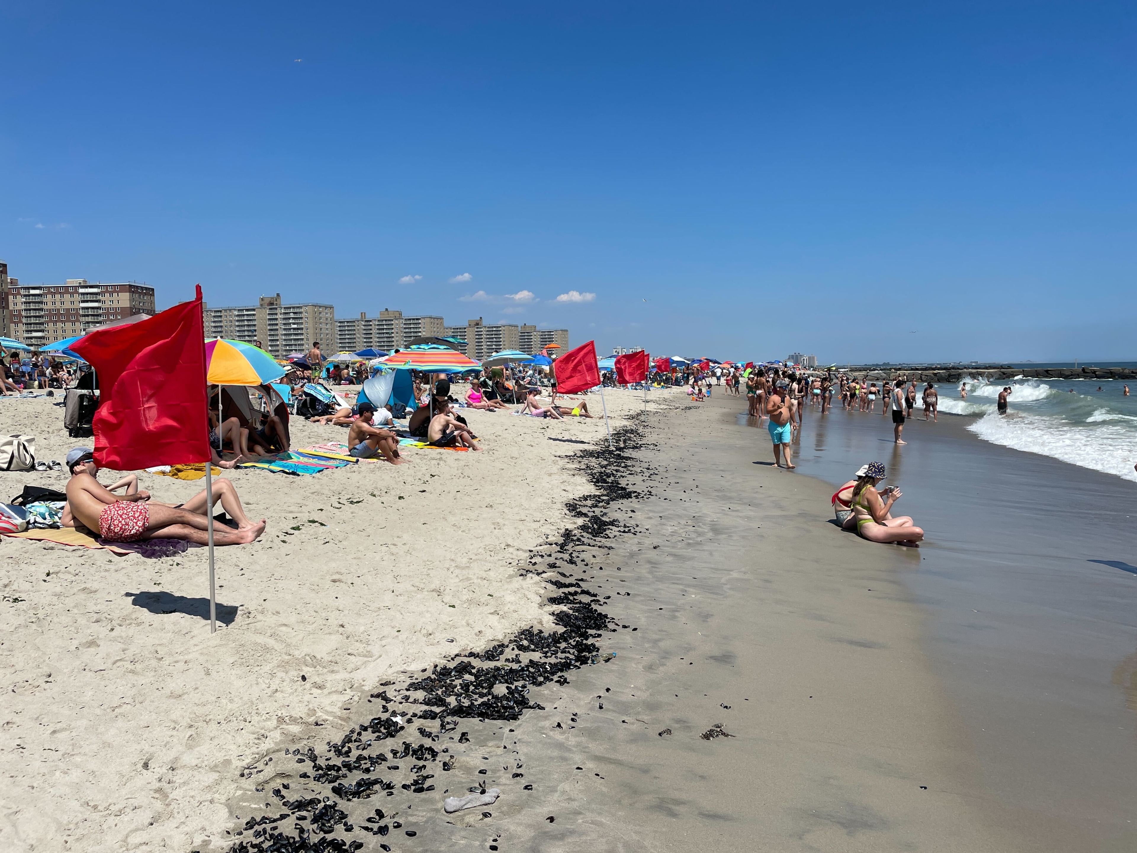 Red flags line the beach at the Rockaways on Saturday morning, as hundreds of people look out into the ocean after the beaches were closed due to a shark sighting.