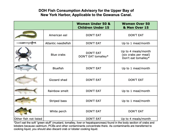 A chart from the NYS Department of Health depicting what fish are safe to eat from the Gowanus Canal.