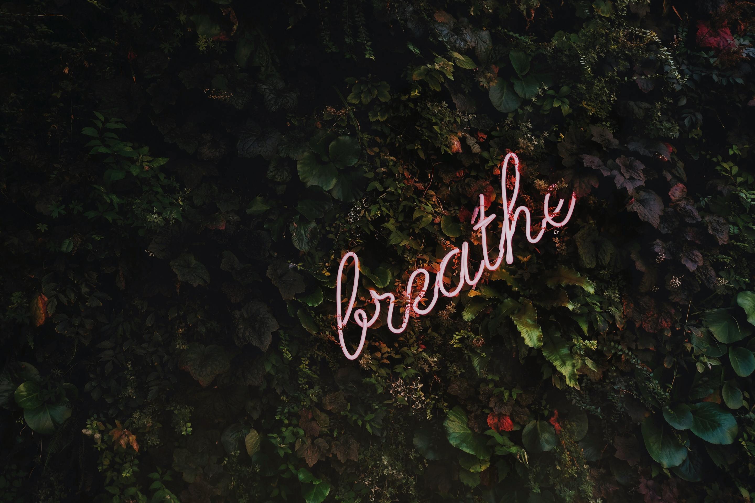 A neon sign reading "breathe" is displayed in front of a leafy background