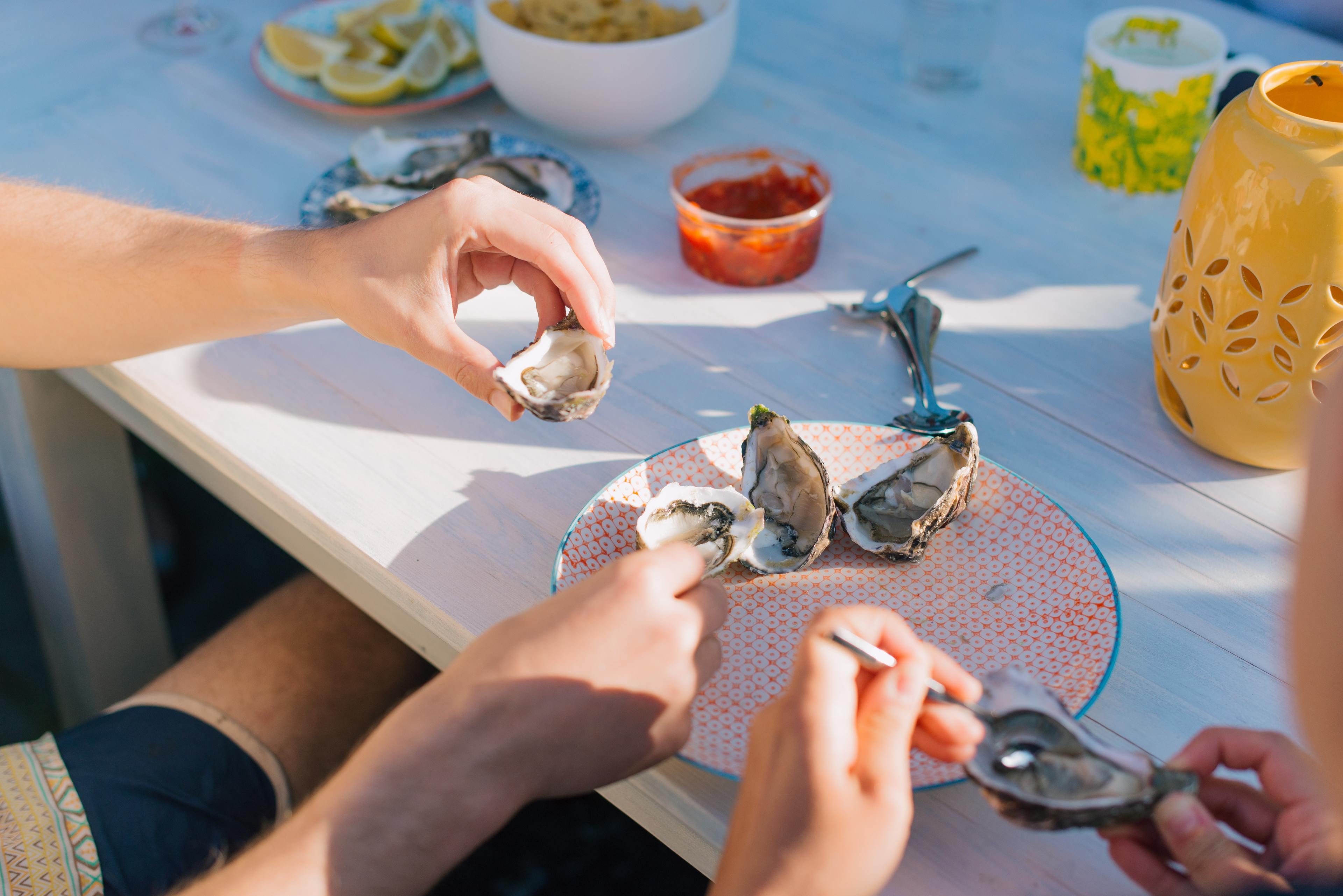 Two people shuck and eat oysters on a picnic table in the setting sun.