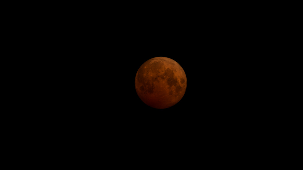The blood moon in a dark sky on November 8, 2022.