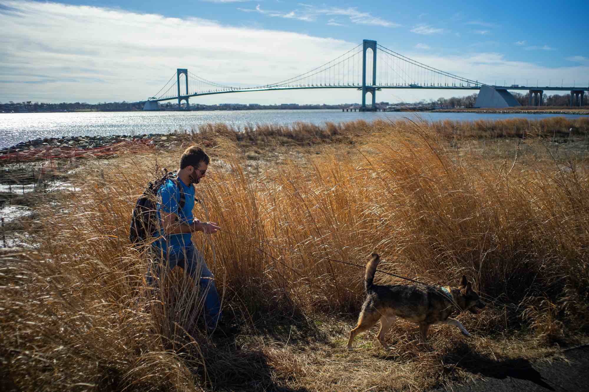 Chris Nagy, wildlife biologist and the co-founder of the Gotham Coyote Project, with his dog Ethan. In both Ferry Point Park and Pelham Bay Park in the Bronx, he collects coyote scat and sets up trail cameras that are automatically triggered by movement.