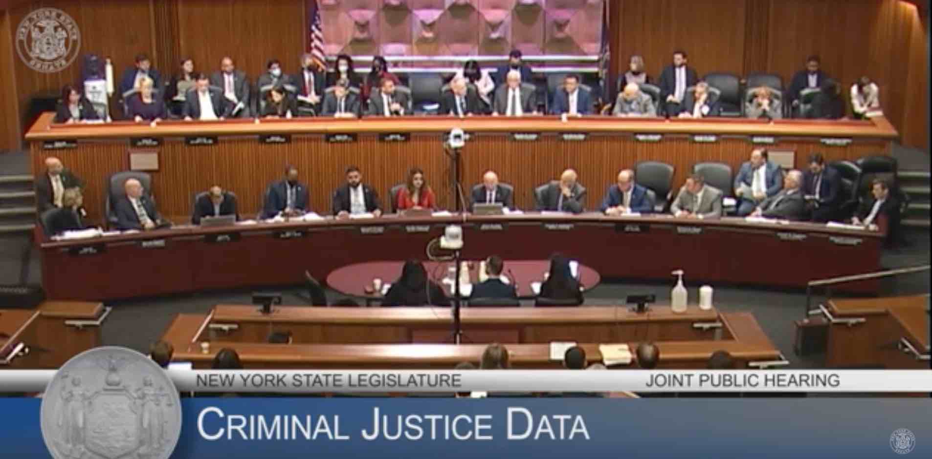 A screenshot of the joint hearing of the NY legislature.