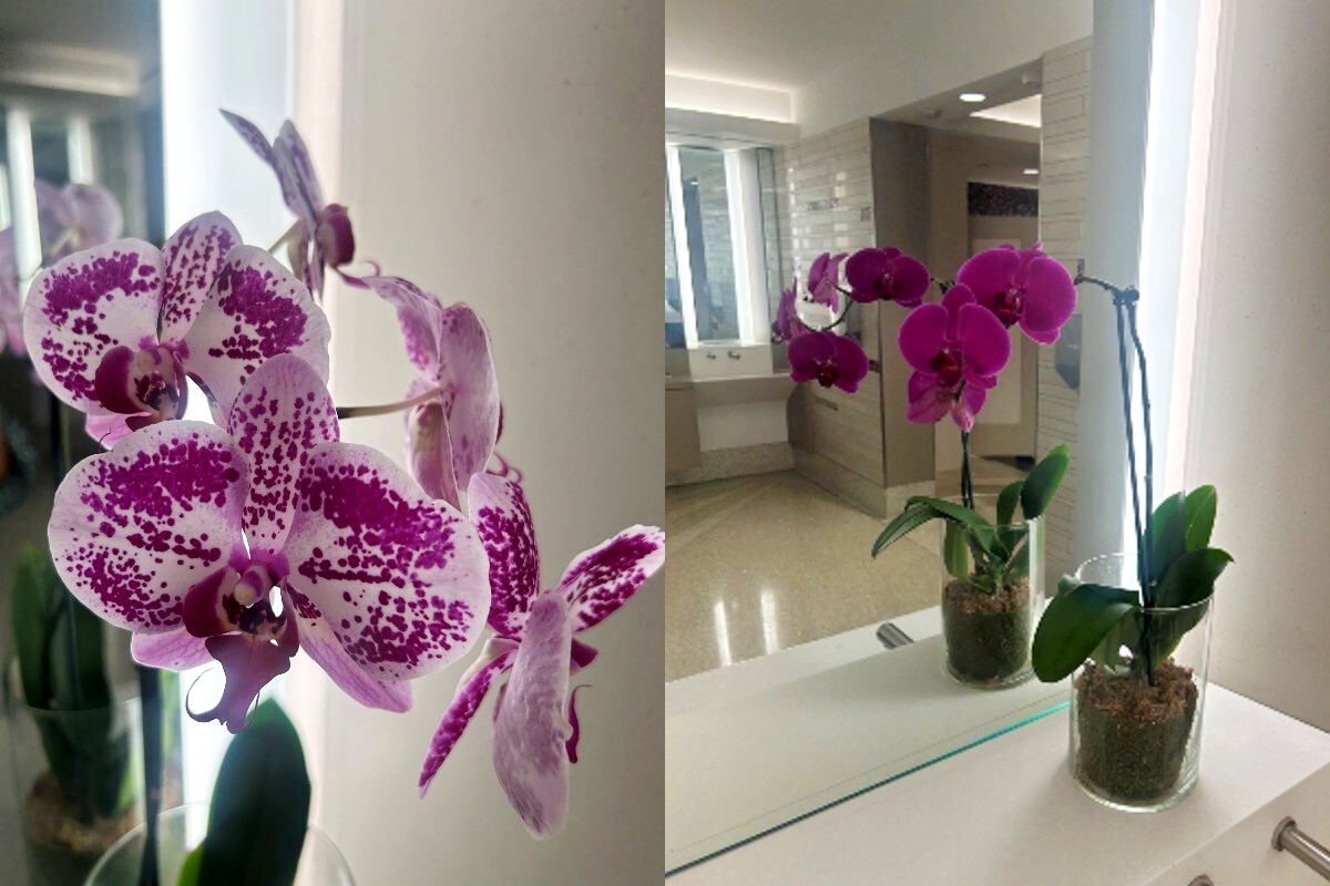 A diptych of two purple orchids in a brightly lit bathroom at LaGuardia Airport.