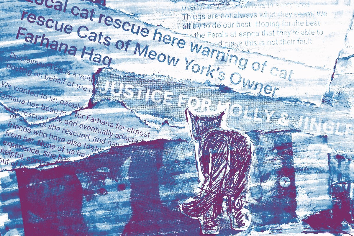 An illustration of feral cats and headlines about rescue cat organizations.