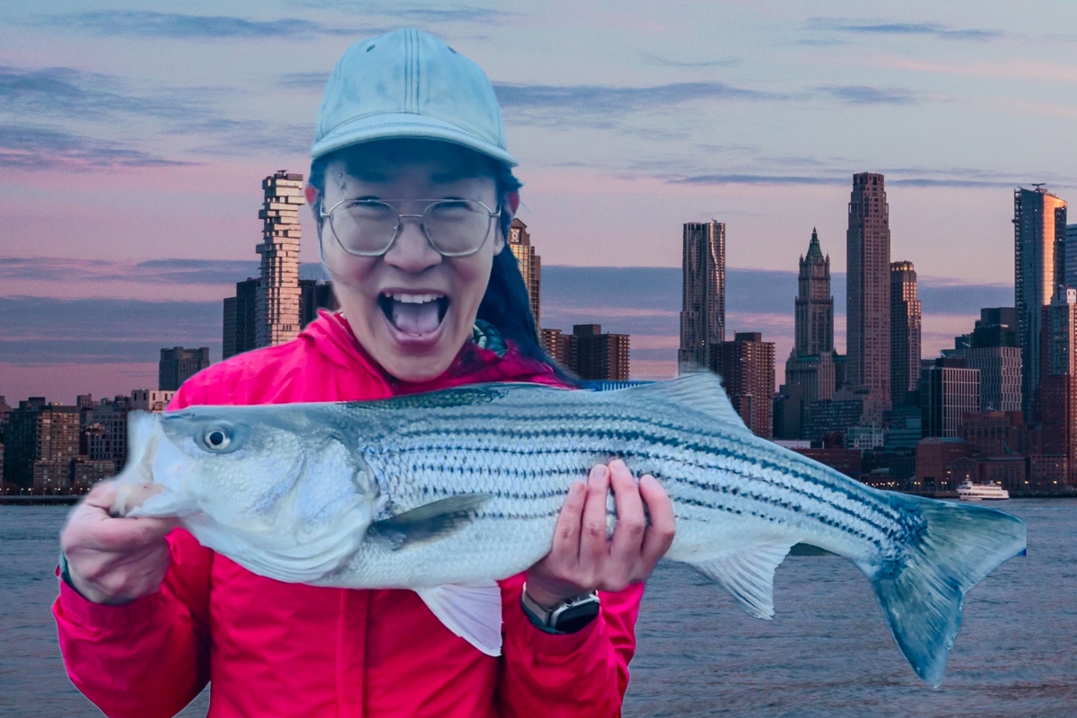 The author in a red rain jacket and blue denim baseball cap, holding a large striped bass in her hands, superimposed over a photo of NYC's waterfront.