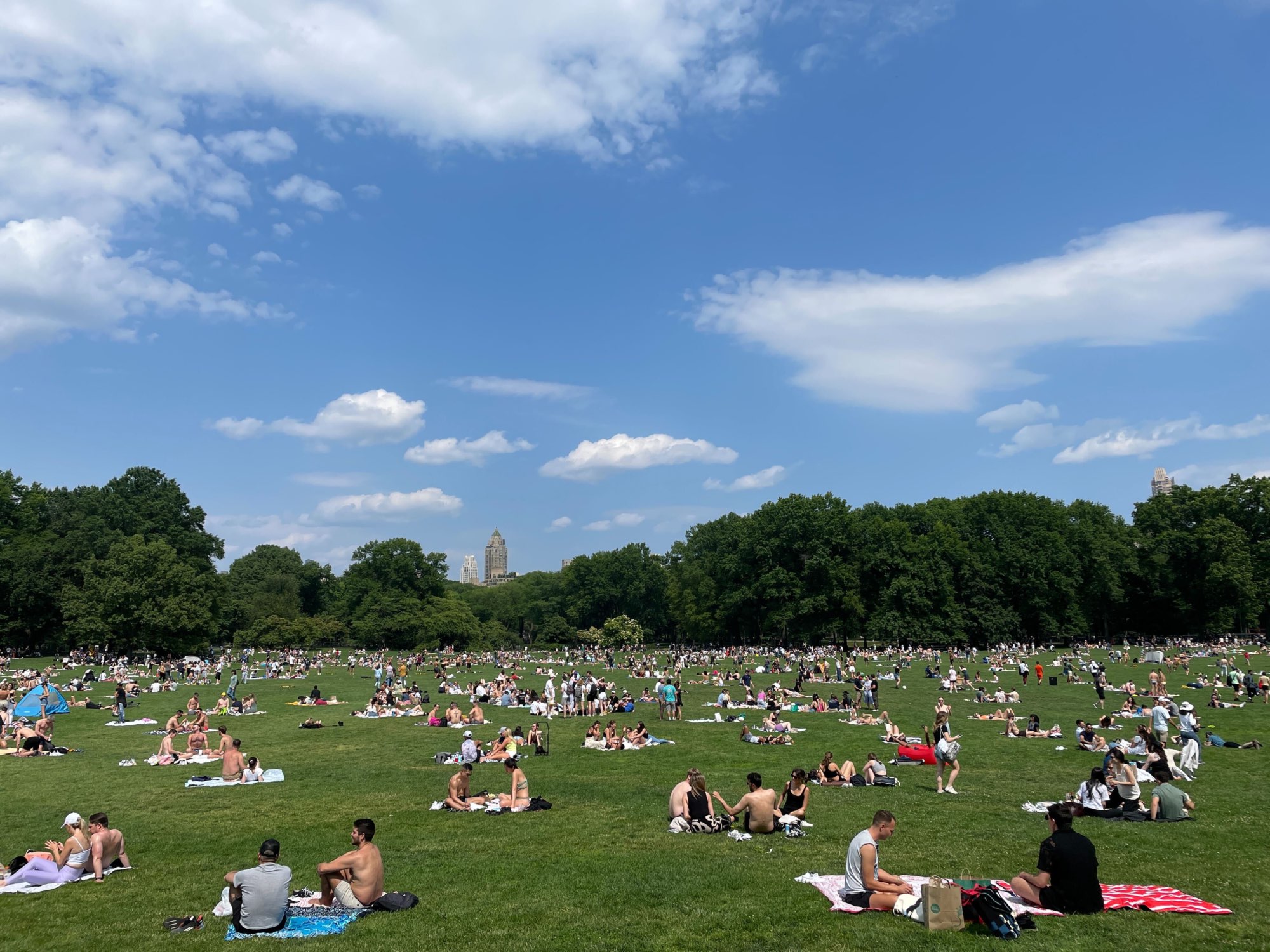 New Yorkers spread out on Sheep's Meadow in Central Park.