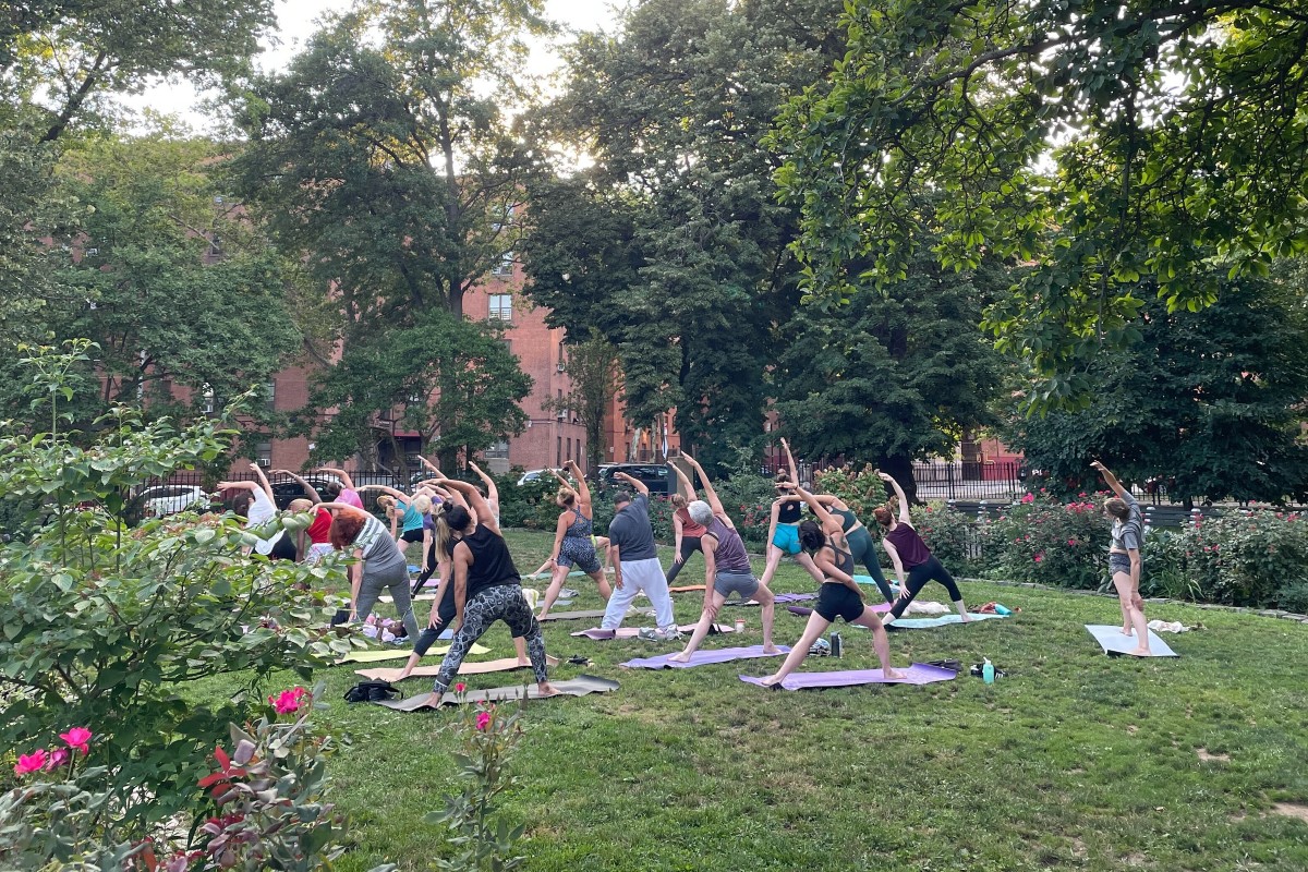 A group of people do yoga in a park.