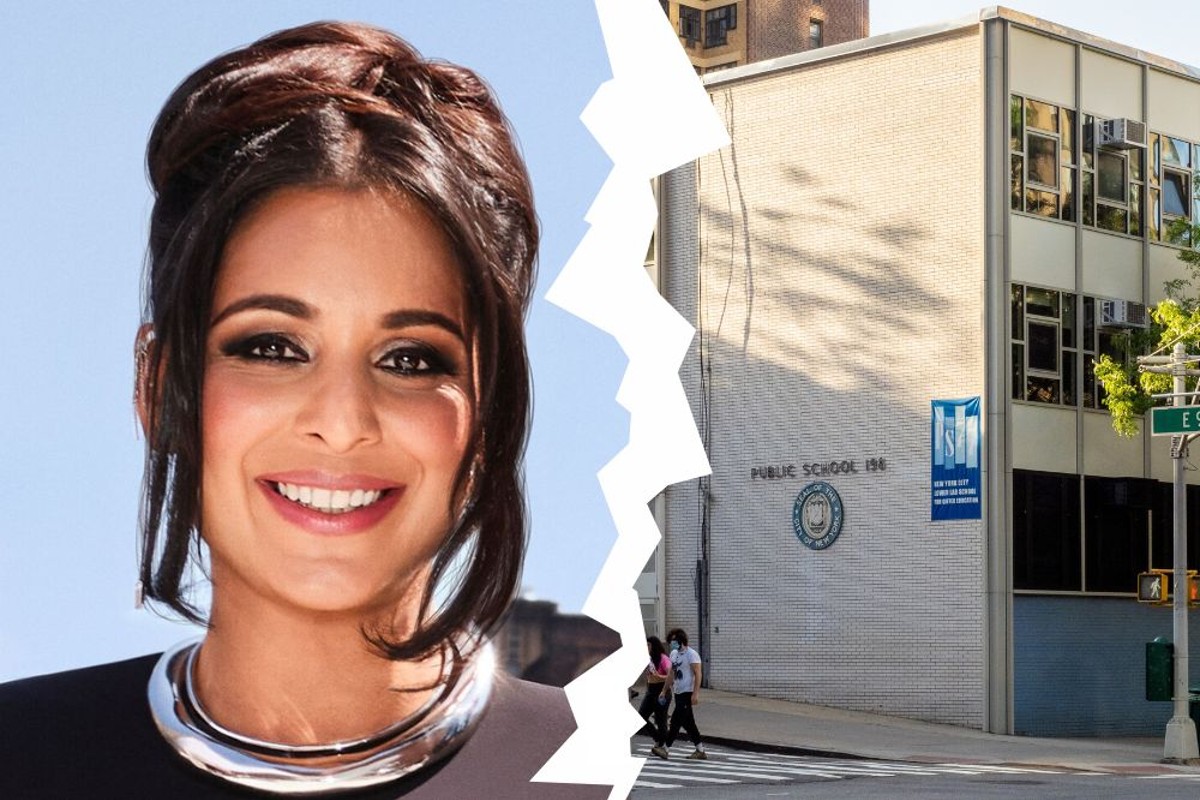 Real Housewives of New York cast member Jessel Taank and a New York City public school.