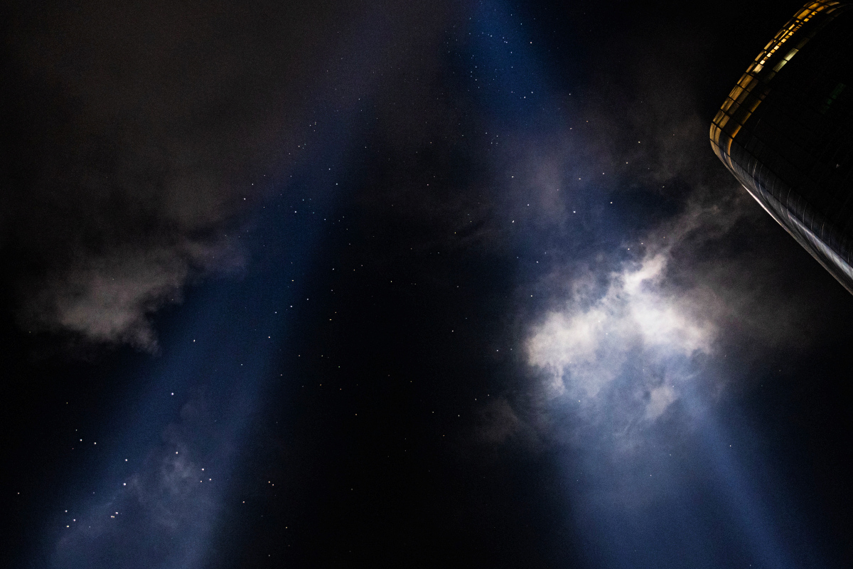 Birds caught in two twin beams of light on a dark evening.
