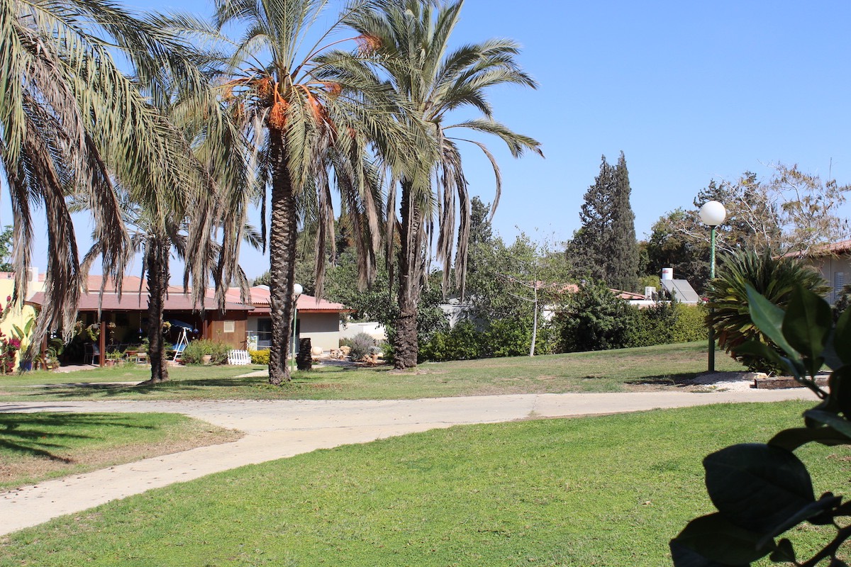 A view of the Kfar Aza kibbutz in 2013.